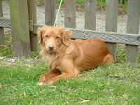 k-2009-06-01 007